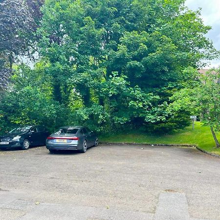 Modern Luxurious Apartment W/ Patio Balcony & View Jordanstown Exteriör bild