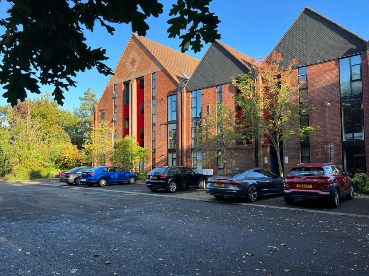 Modern Luxurious Apartment W/ Patio Balcony & View Jordanstown Exteriör bild